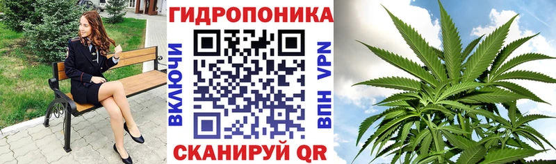 Каннабис White Widow Высоковск
