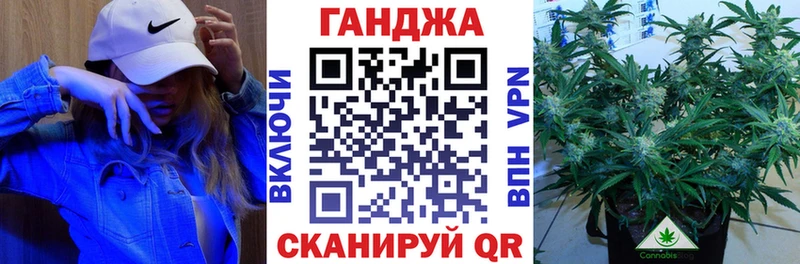Конопля индика  магазин  наркотиков  Высоковск 